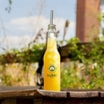 Cocktail Colada (Ananas + Kokos)